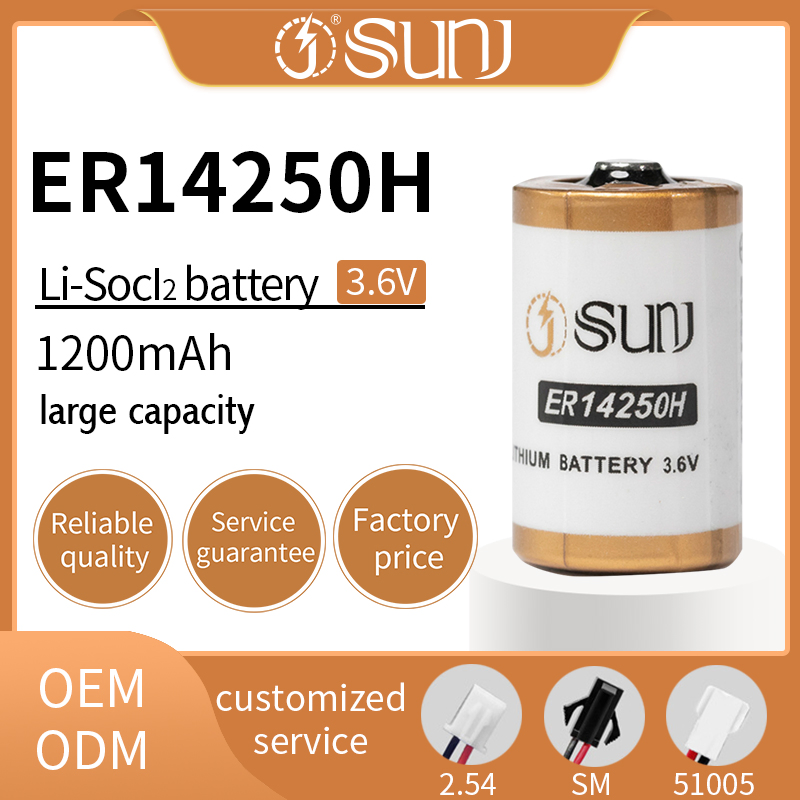 Factory Direct Supply 3.6V 1200mAh Er14250h Lithium Primary Battery Cell