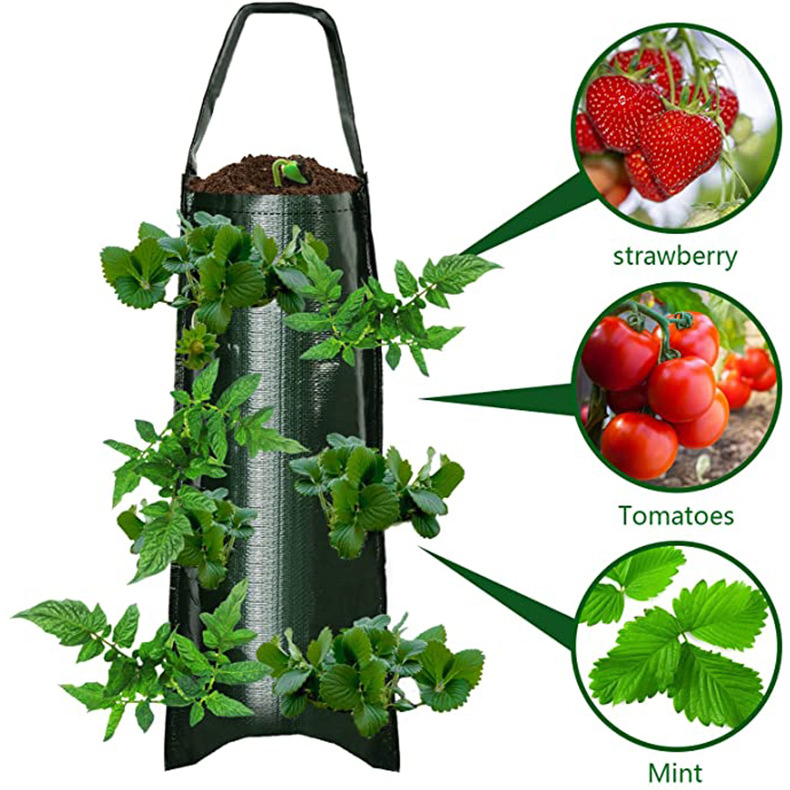 Hanging Grow Bags Flower Planting Bag Handle Grow Pouch Planter for Outdoor