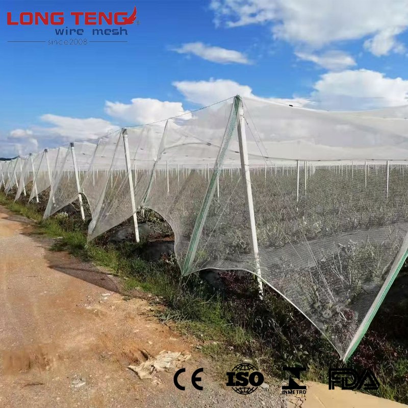 40 Mesh 5-Square Splicing Hail and Insect Prevention Net