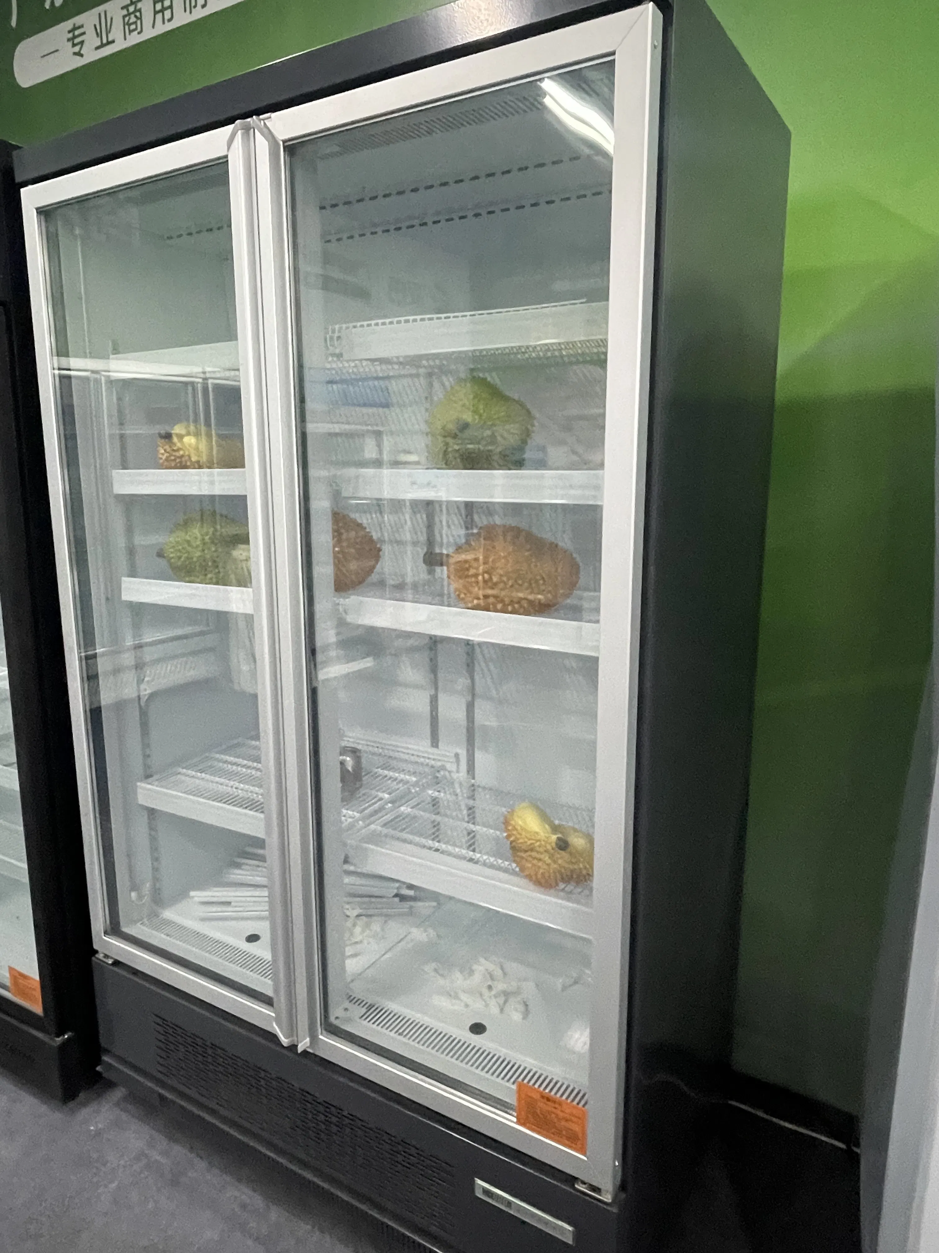 Glass Door Commercial Freezer and Refrigerator for Display Use