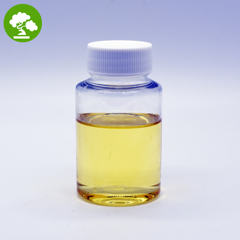 High Quality 100% Pure Cold Pressed Natural Plant Oil for Skincare & Culinary Use Camellia Oil