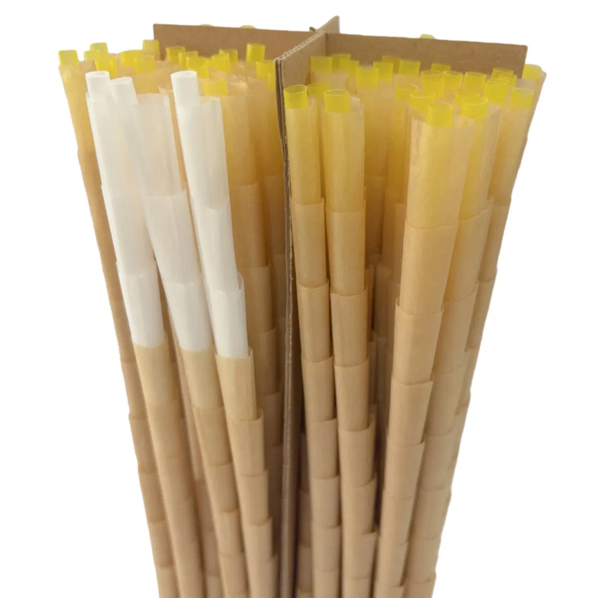 1000 Box Packaging Brown Natural Pre Rolled Cones