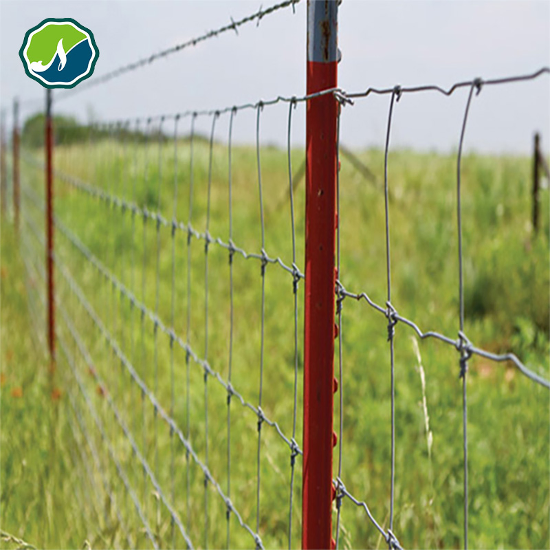 High-Tensile Fixed-Knot Fence Galvanized PVC Farm Fence/Garden/Wire Mesh/Electric/Metal/Deer/Field/Wrought Iron/Animal/Fence
