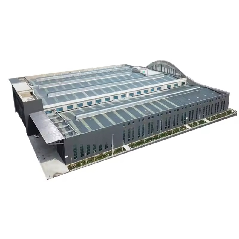 Low Cost Factory Workshop Steel Building Prefab Light Steel Structure