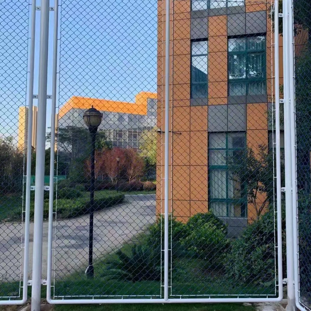 Chain Link Fence 100FT 6FT 8FT PVC Coated Wire Mesh Galvanized Diamond Custom Specifications for Sale Hot