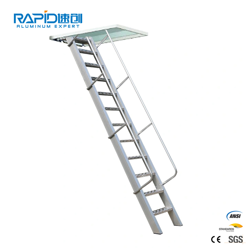 Ringlock Metal Steel Factory Product Climbing Platform Scaffold Ladder
