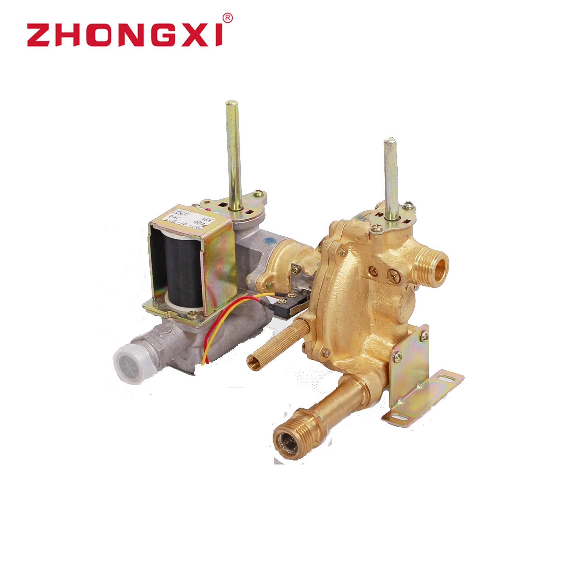 10L LPG Domestic Balanced Exhaust Propane Tankless Gas Water Heater