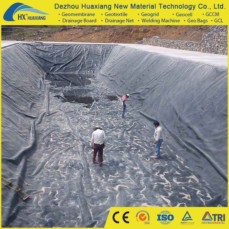 Factory Price Dam Fish Farm Tank Pond Liner HDPE Geomembrane