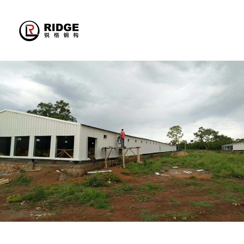 Commercial Portable Poultry Building Indoor Arena Horse Prefab Prefabricated Agriculture Barns
