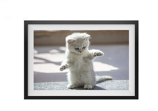 15.6 Inch Digital Photo Frame with Touch Screen - High-Resolution Smart Display for Interactive Photo Viewing & Modern Home Decor