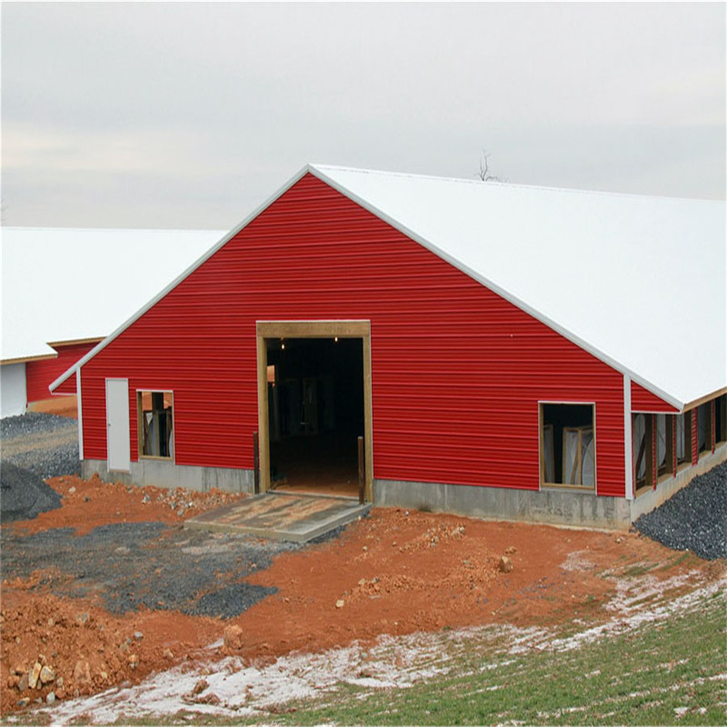Insulated Steel Structure Poultry House and Poultry Farming Design for Layers