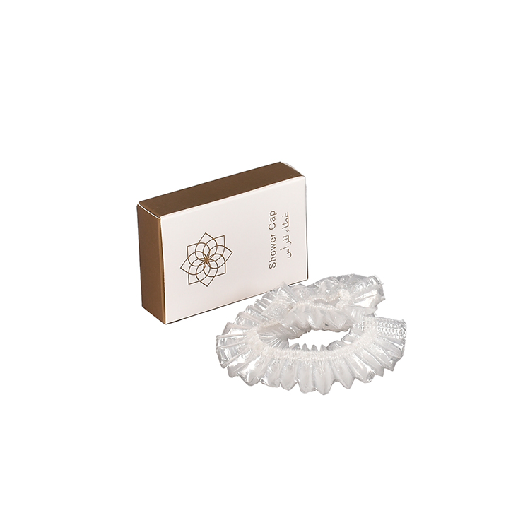 Various Types of Disposable Hotel Amenities Supply