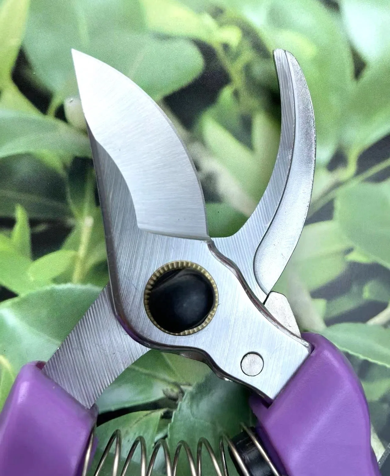 Factory Sales Easy Use Garden Tools Garden Steel Blade Pruner Shear