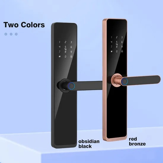 Advanced Smart WiFi Digital Door Lock Code RFID IC Card Fingerprint Recognition Smart Lock