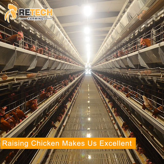 Good design high quality steel structure poultry house commercial chicken farm