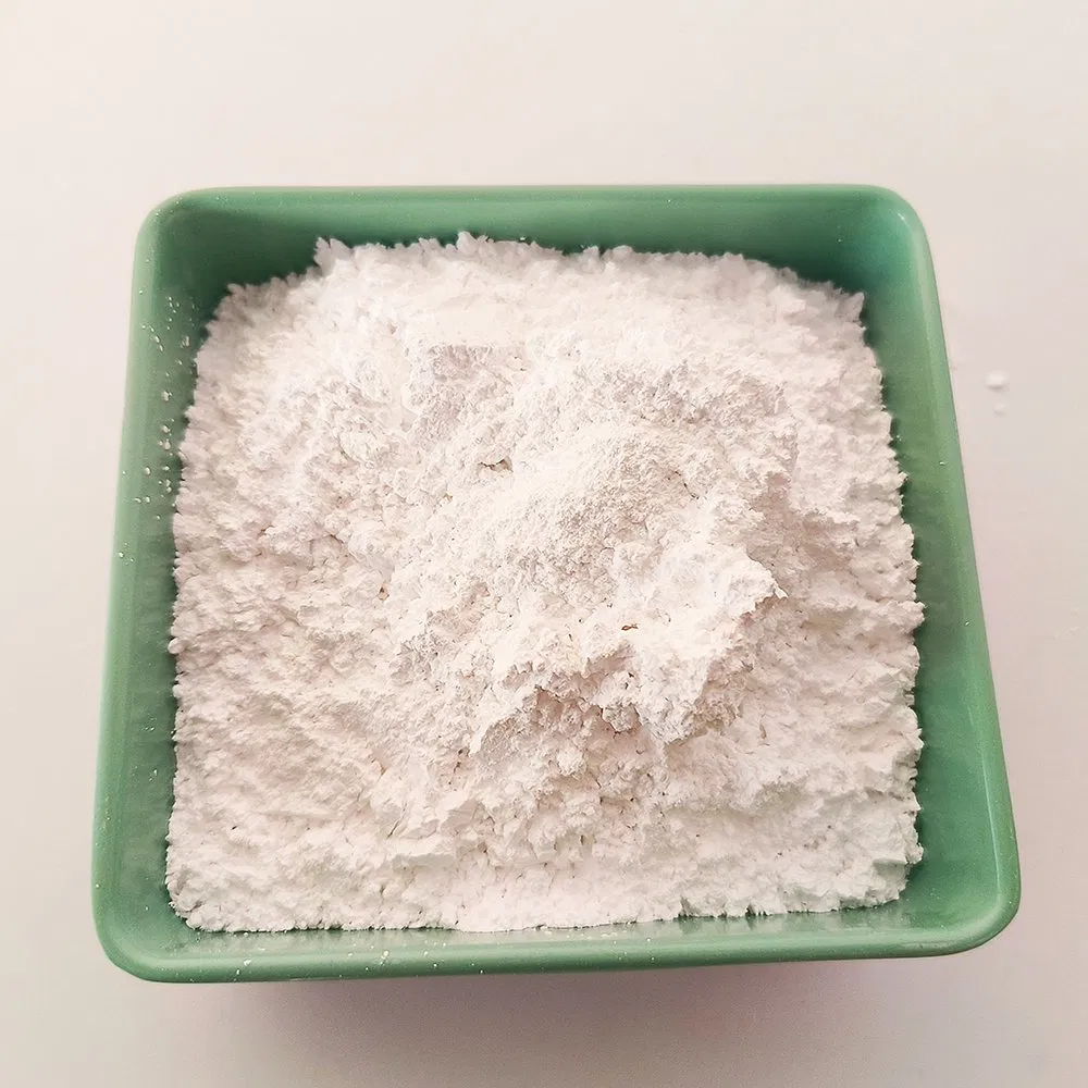 Factory Price Glidants Used Nano Al2O3 Aluminum Oxide Powder 99.99% Alpha Gamma Phase Alumina Nanopowder Aluminum Oxide Powder