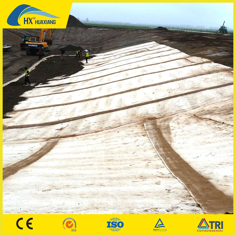 ASTM Standard Geosynthetic Clay Liners Gcl for Landfill for Fish Pond