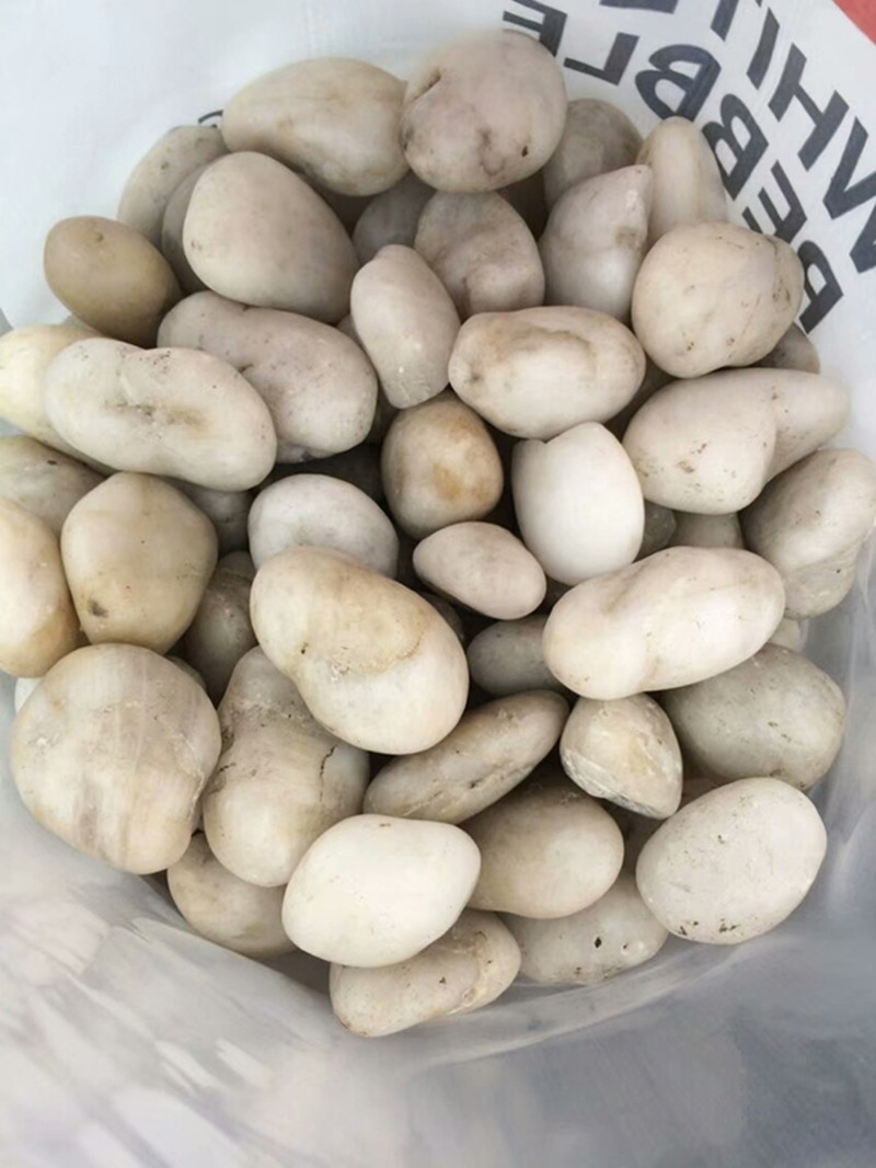2021 Hot Selling White Polish Pebble Stones River Stone Gravels for Garden Decoration
