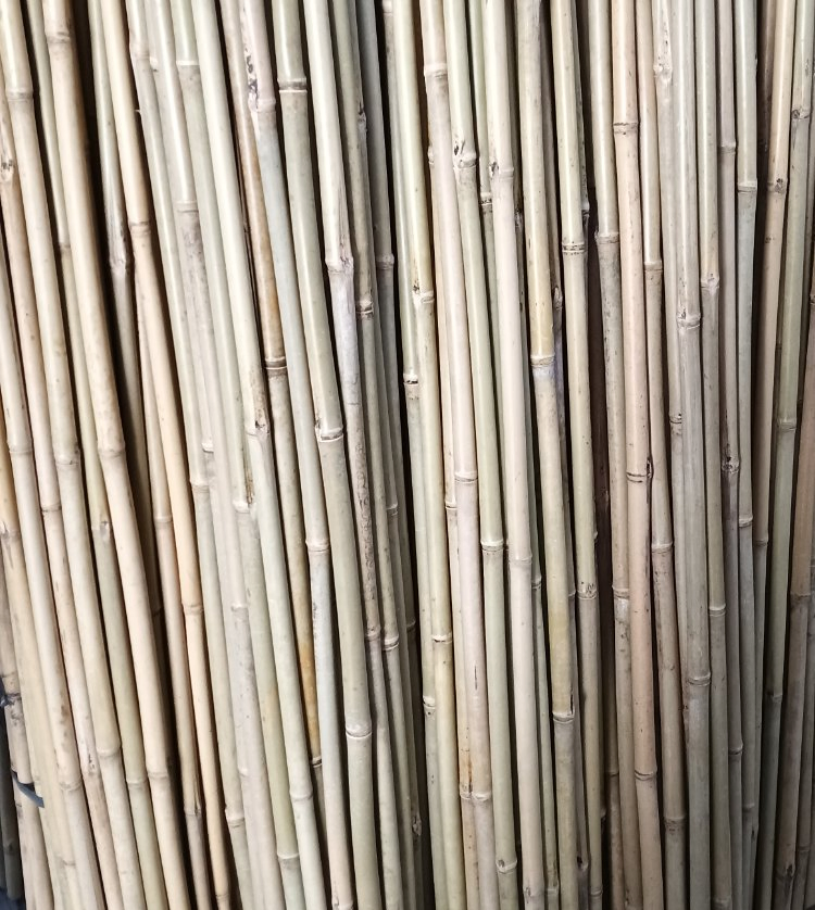 Factory Tonkin Bamboo Cane Garden Stake Moso Natural Artificial Raw Bamboo Poles