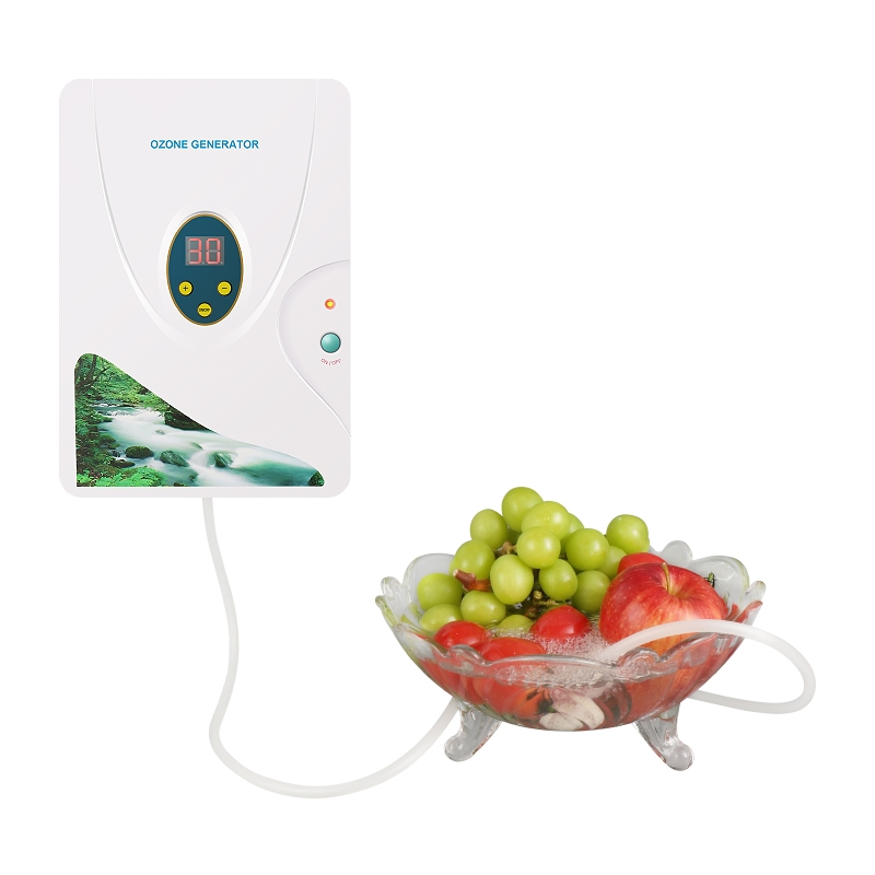 Wholesale Multifunctional Ozone - Powered Fruit and Vegetable Washer for Efficient Cleaning
