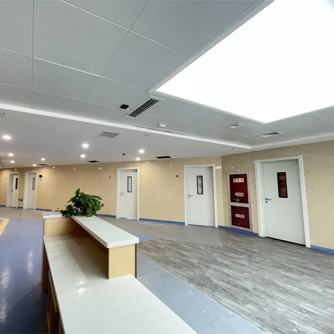 CE Certified Air Tight Leaf High Performance Cleanroom Door Manufacturer Direct for Bio-Safety Purification