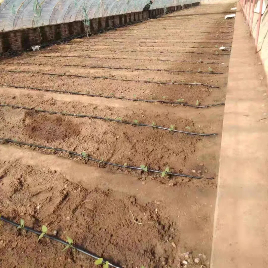 Garden Irrigation with Drip Tape and Pressure Hose for Landscape Beds