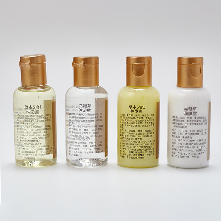 Disposable Hotel Amenities Toiletries Wholesale Mini Hotel Supplies Size Shower Gel Shampoo and Conditioner Set