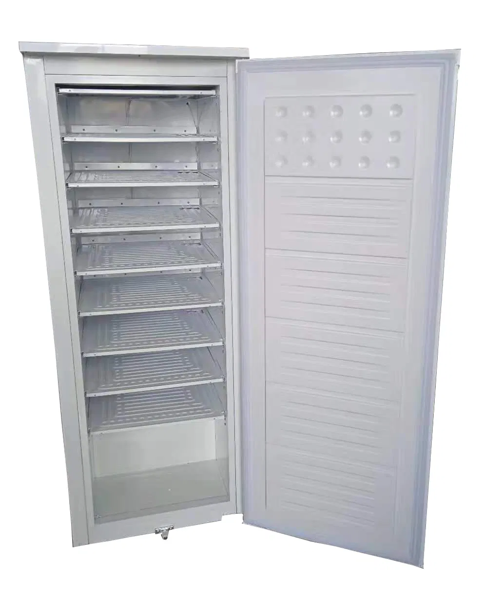 180L 12/24V ≤ -25º C DC Frozen Refrigerator, Frozen Water Refrigerator