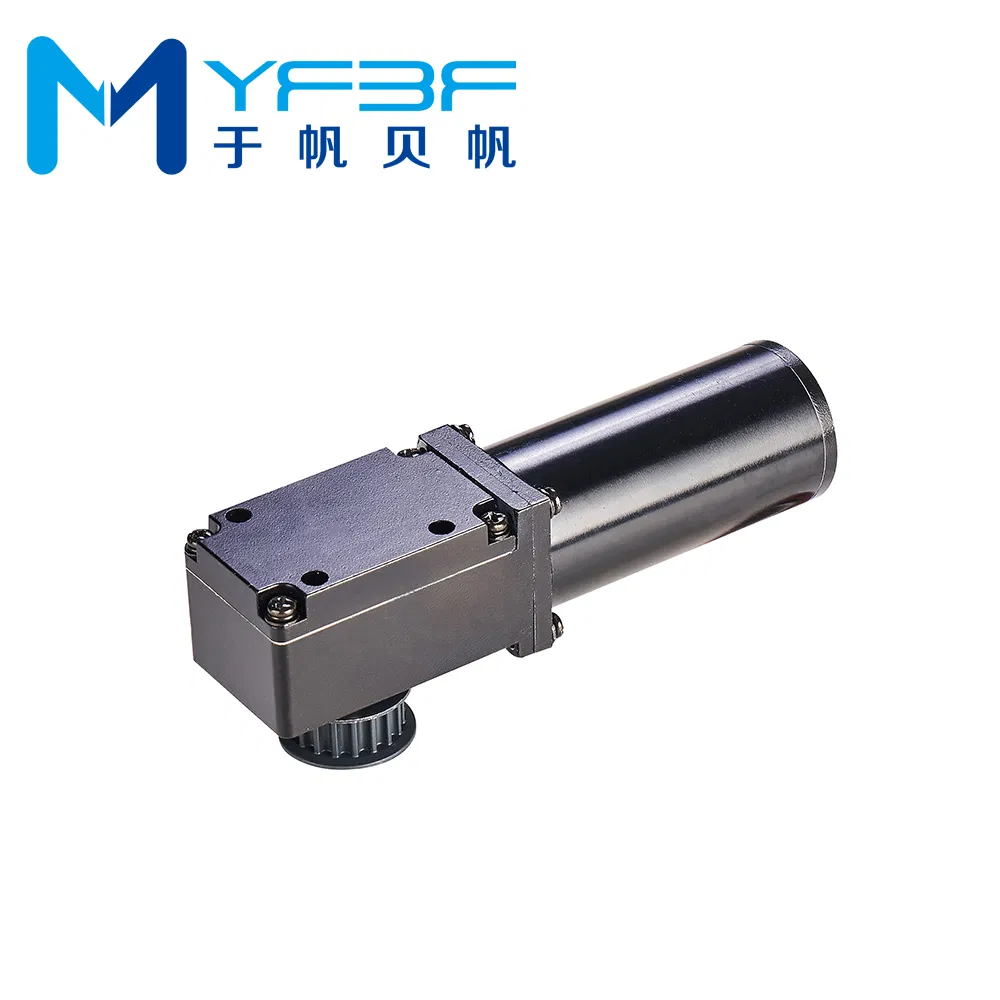 High-Performance Direct Drive Mini Motor Automatic Sliding Door Motor