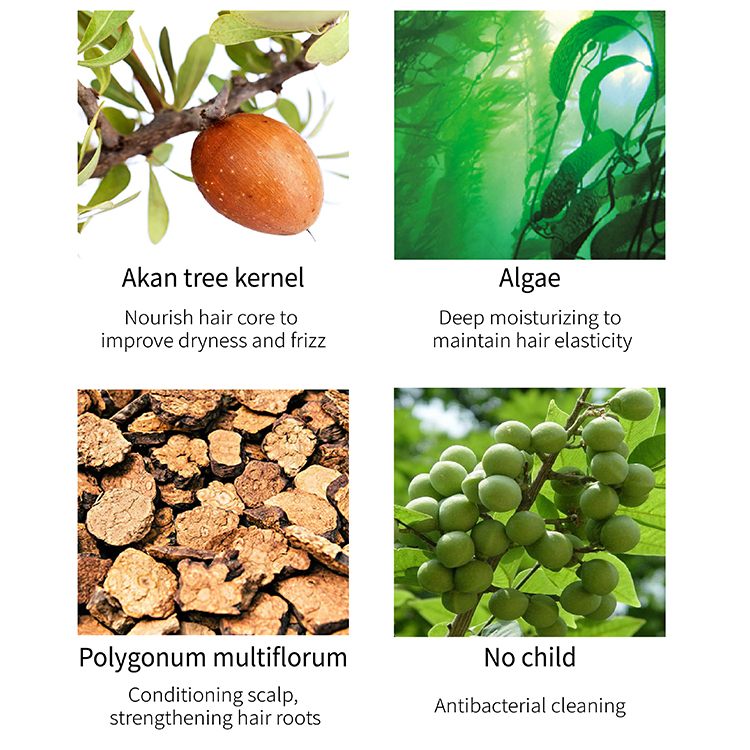 Private Label Natural Herbal Keratin Organic Argan Oil Bulk Hair Shampoo