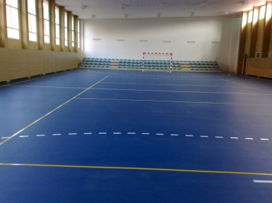 Flex Sports Mats for Gym Stadium
