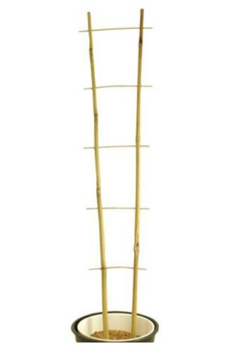 Bamboo Cane Plant Pot Trellis Fan Garden Flower Support Frame Stake Stick Pole