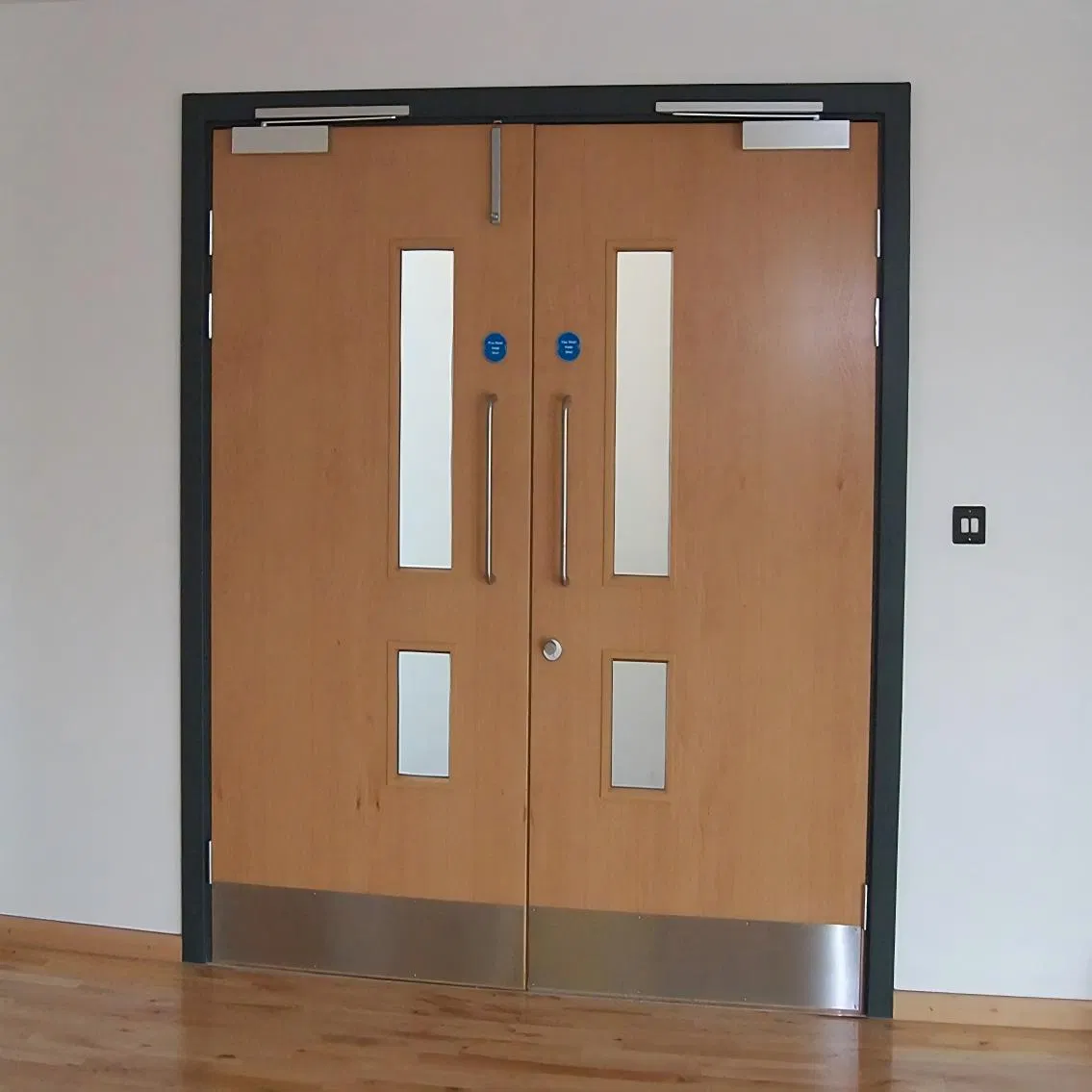 Approved Fire Door for Hotels Wooden Steel Construction Resistance Steel Fire School Interior Single Leaf