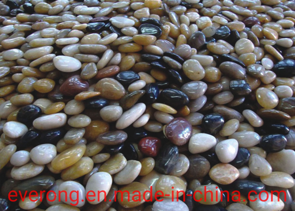 Garden Stone Wholesale Natural River Pebble Stone for Landscaping Decoration