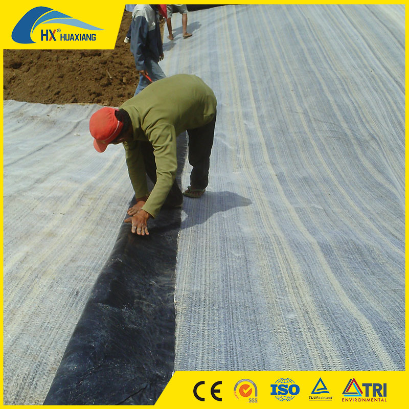 Bentonite Composite Waterproof Blanket Geosynthetic Clay Liner Bentonite Blanket Gcl for Landfill