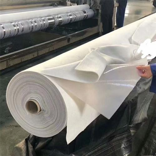 Jinghe Waterstop Belt HDPE Geomembrane for Transportation Projects Hydraulic Projects Geotechnical Projects Environmental Projects Customized