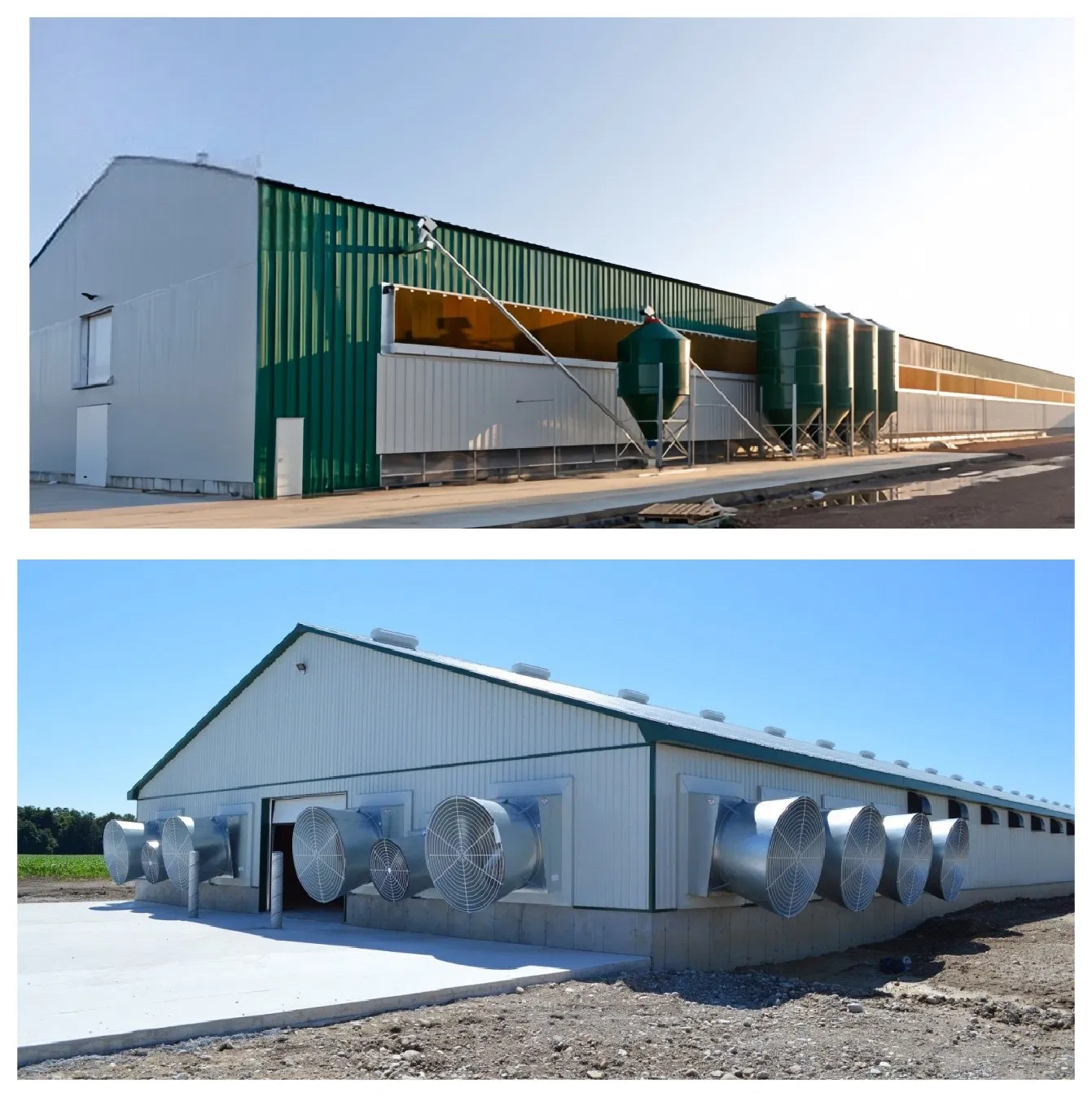 Modern Longspan Prefabricated Steel Structureshed House for Poultry and Livestock