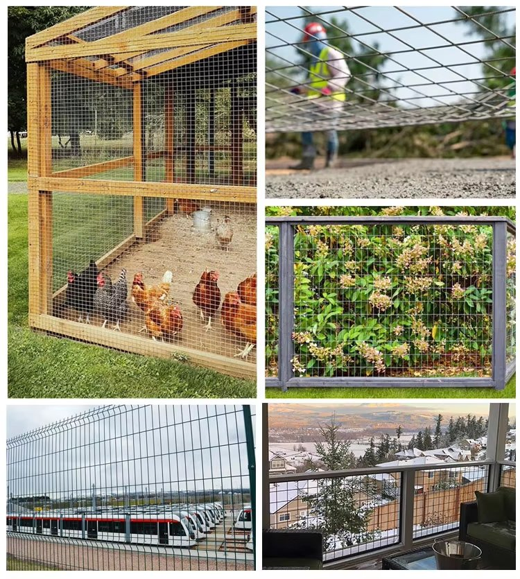 High Quality Stainless Steel Roll Welded Wire Mesh