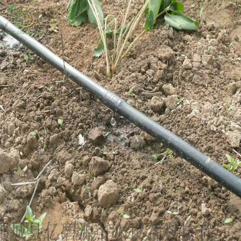 Chinese Greenhouse Agriculture Drip Irrigation for Sale Greenhouse Micro Drip Irrigation System Price