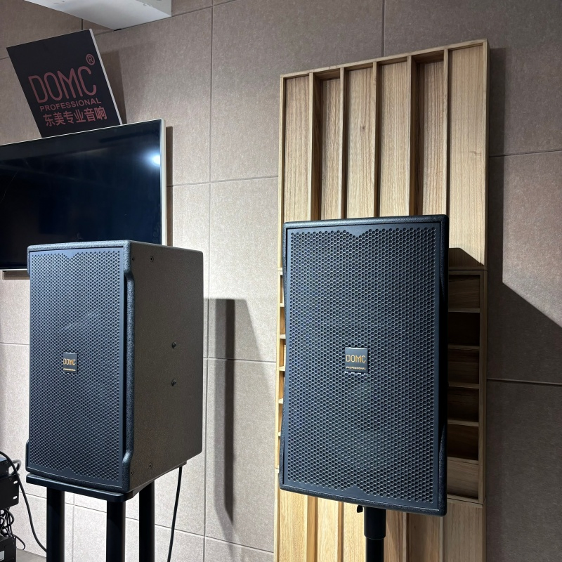 Domc K215 15-Inch Speaker - Ideal for Concerts and Festivals