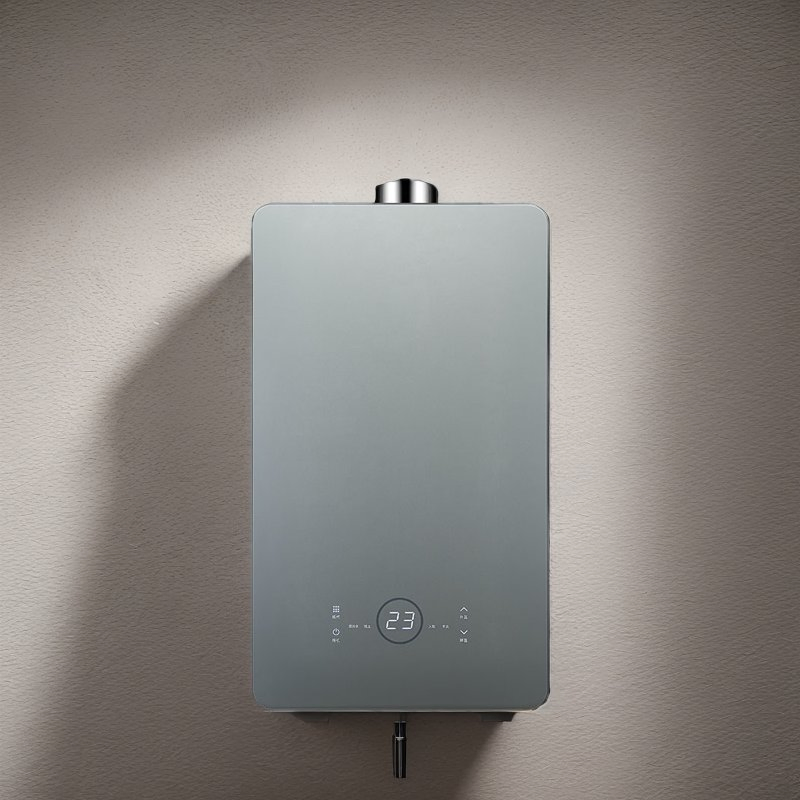 Energy-Saving 12L Gas Water Heater for Instant Hot Water