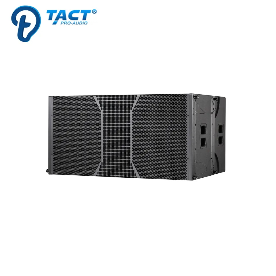 Tact Promotion Price Dual 12 Inch Passive Line Array System