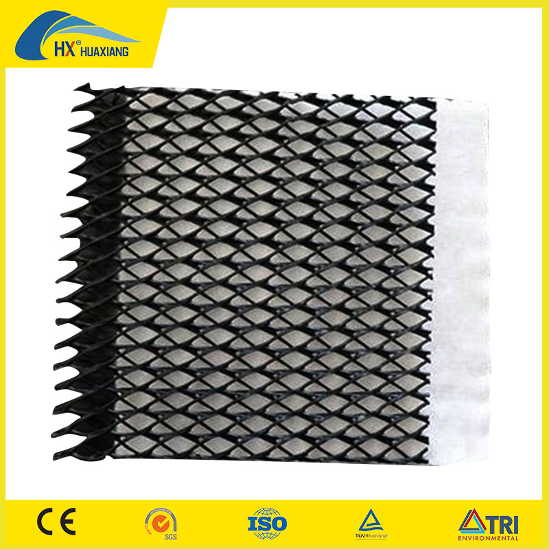 Geosynthetics HDPE Geonet 3D Composite Net Price for Drainage