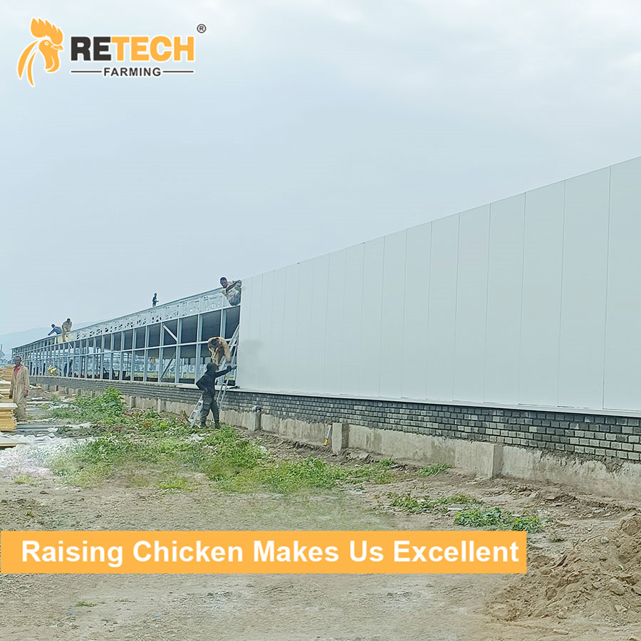Automatic Layer A Type Chicken Coop House Broiler Cage for Laying Hens
