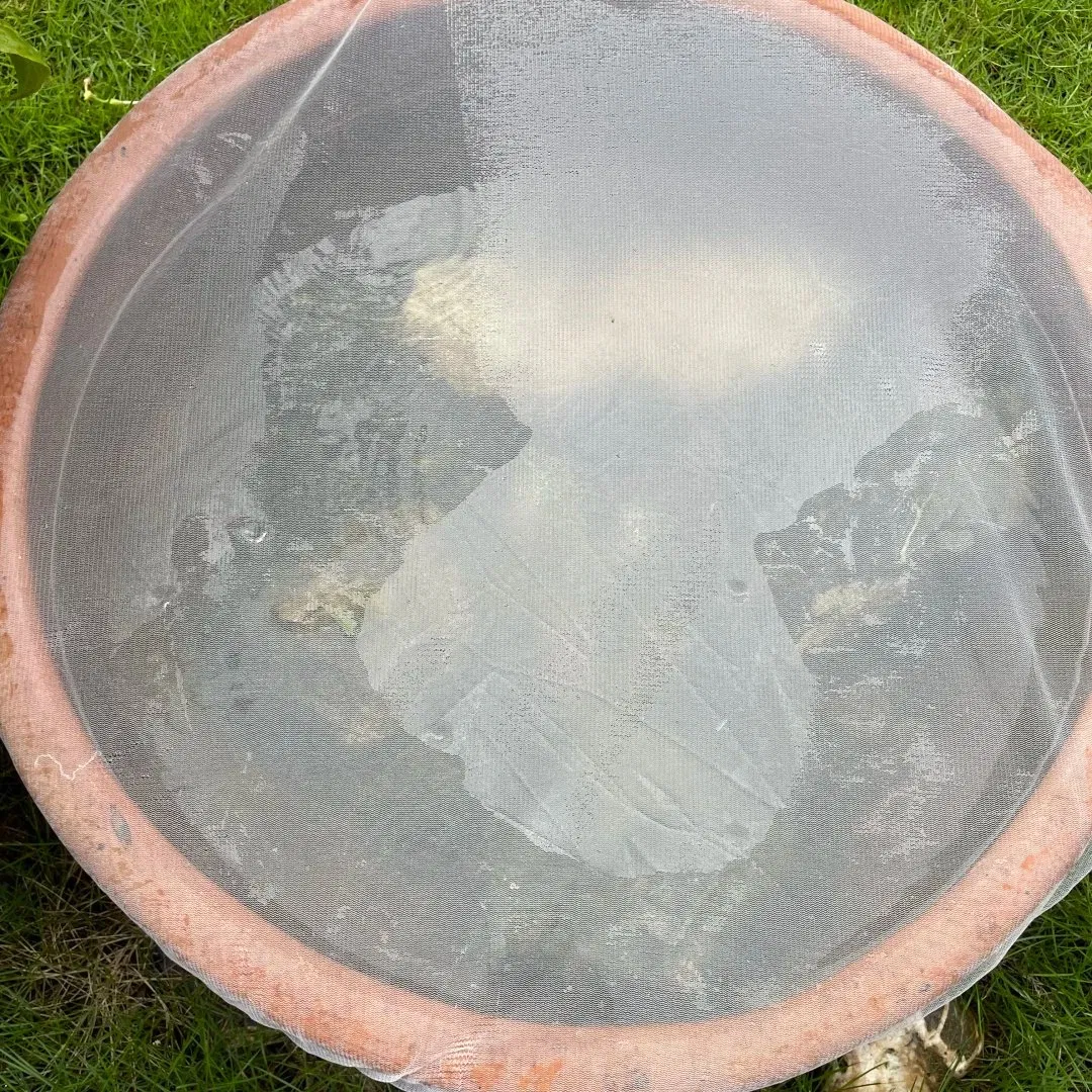 Customized Stainless Steel Mosquito Net for Windows & Doors