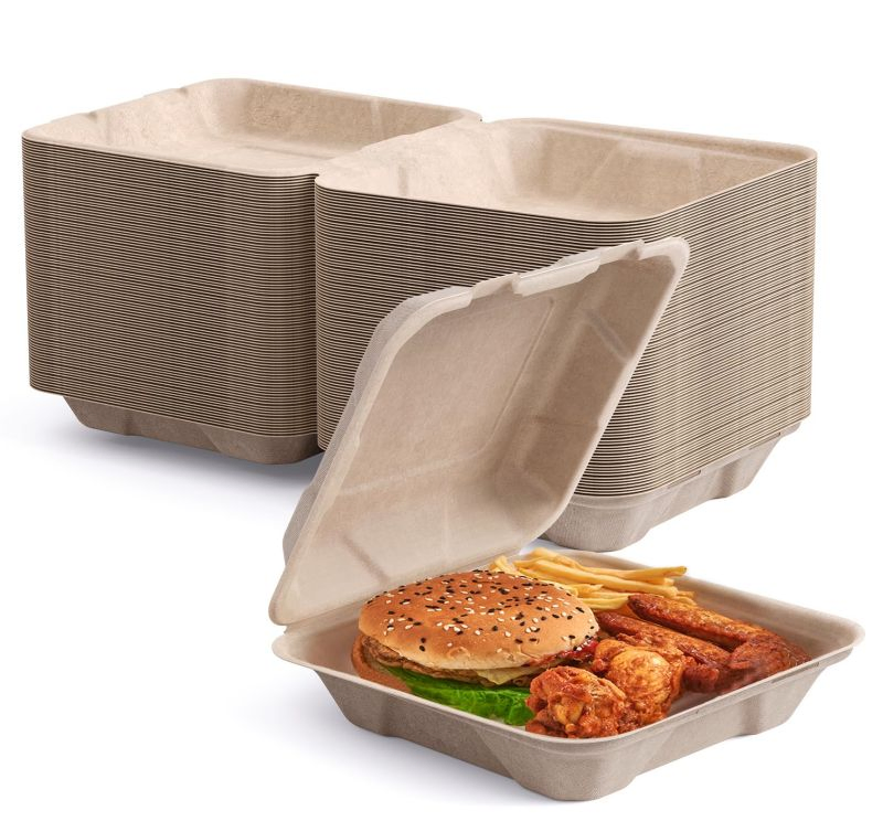 100% Compostable Sugarcane Eco Friendly Biodegradable Food Container Clamshell