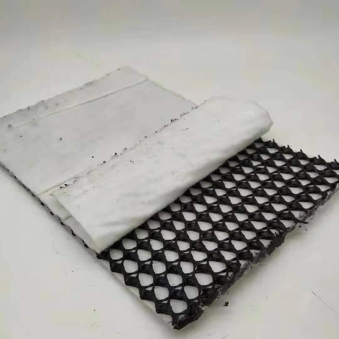 Hot Sale Water Conservancy Project Woven Geotextile Geogrid Building Material Drainage Composite Geonet