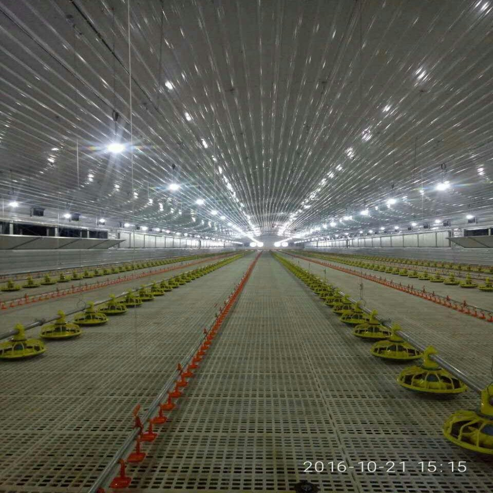 Cheap Price Popular Offered Modified Poultry Farm Chicken House for Sale