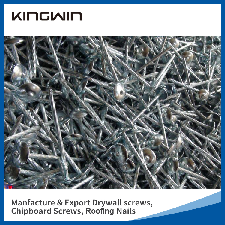 2.5"*9bwg Galvanized Umbrella Head Roofing Nails for Nigeria Market with Smooth Shank