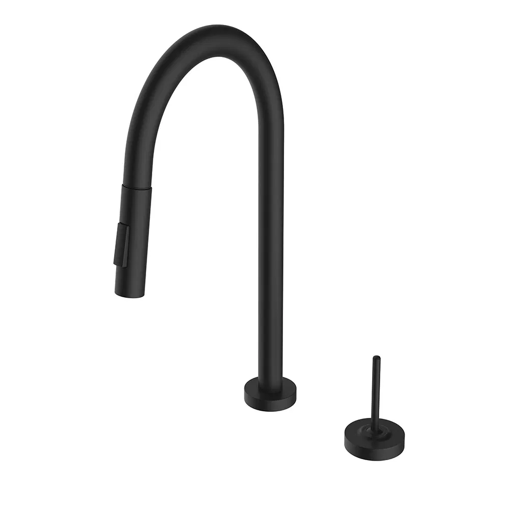 Stylish Dual Hole Pull Down Brass Kitchen Faucet for Modern Homes